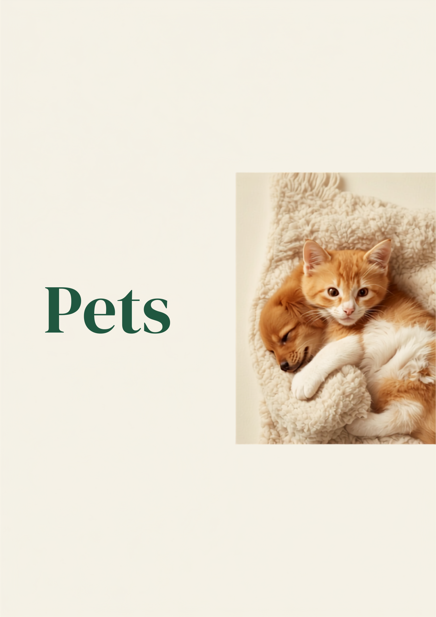 Pets🐾
