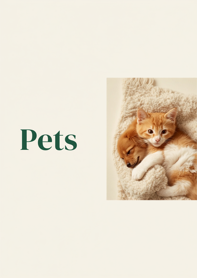 Pets🐾