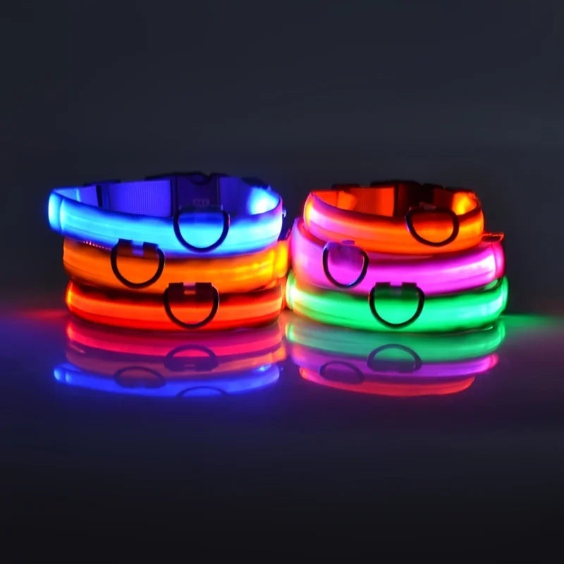 LED Night Safety Glow Dog Leash Collar