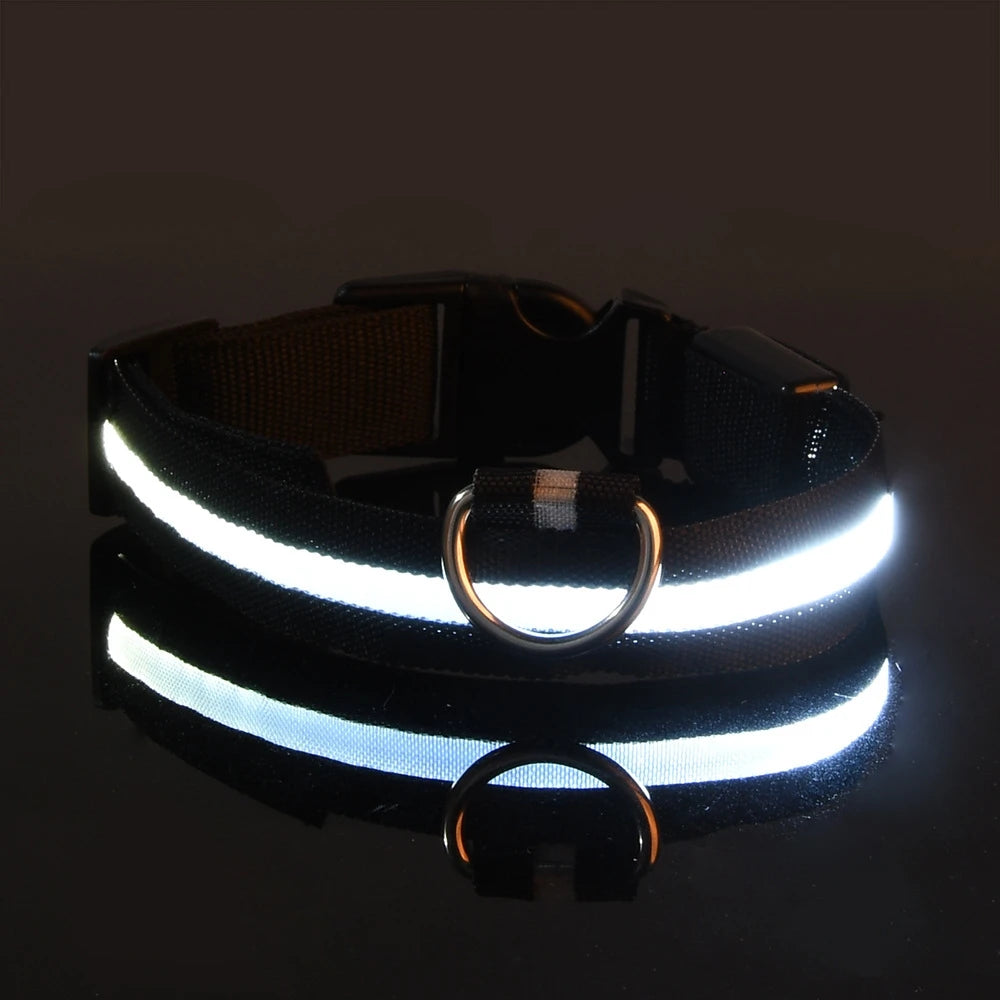 LED Night Safety Glow Dog Leash Collar