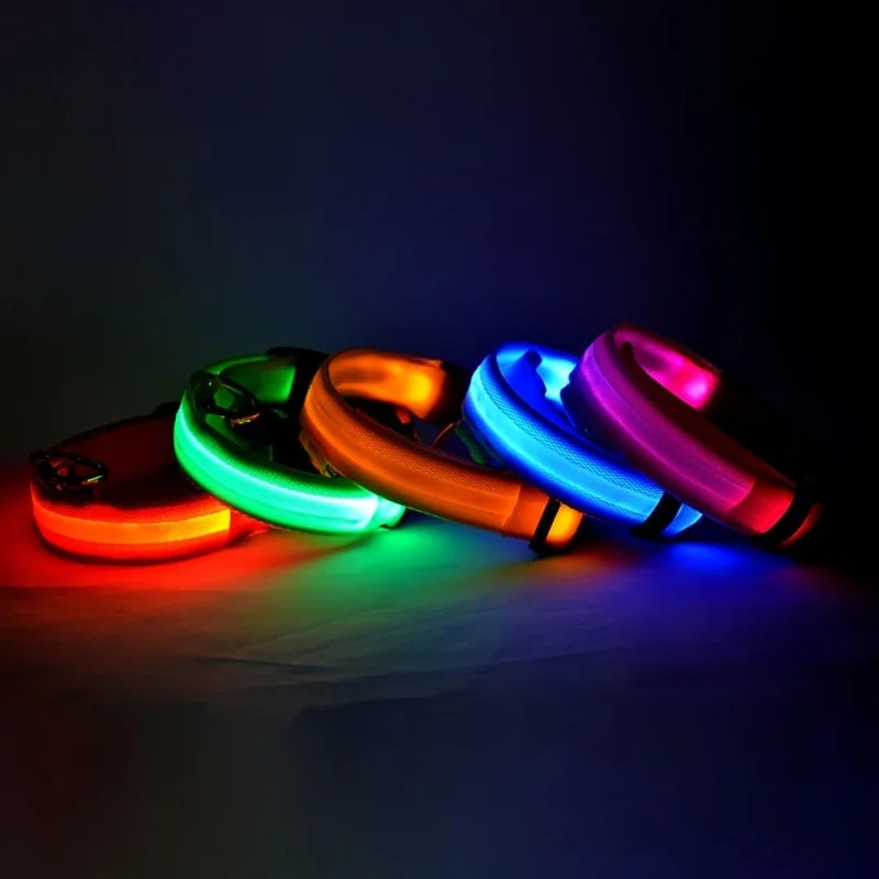 LED Night Safety Glow Dog Leash Collar