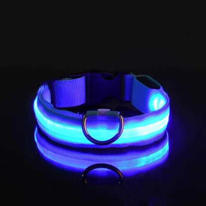 LED Night Safety Glow Dog Leash Collar