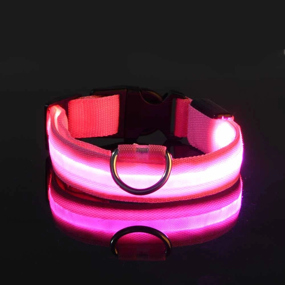 LED Night Safety Glow Dog Leash Collar