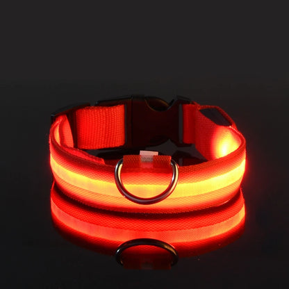 LED Night Safety Glow Dog Leash Collar