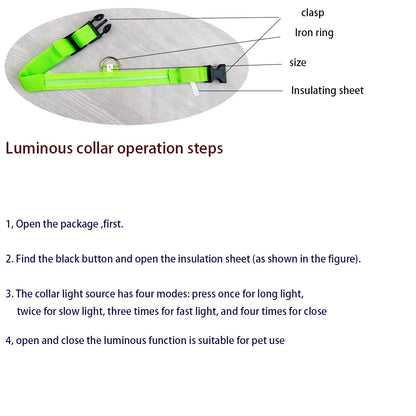 LED Night Safety Glow Dog Leash Collar