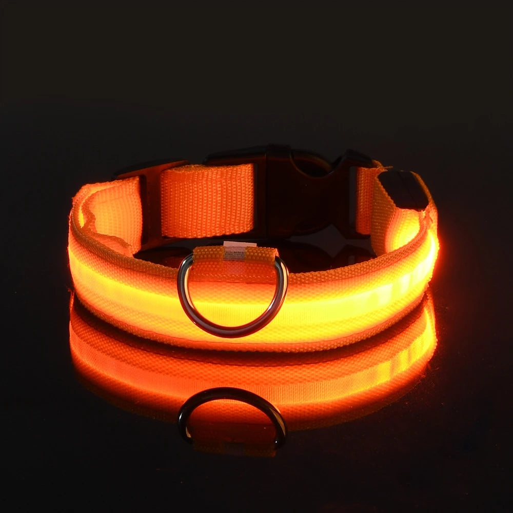 LED Night Safety Glow Dog Leash Collar