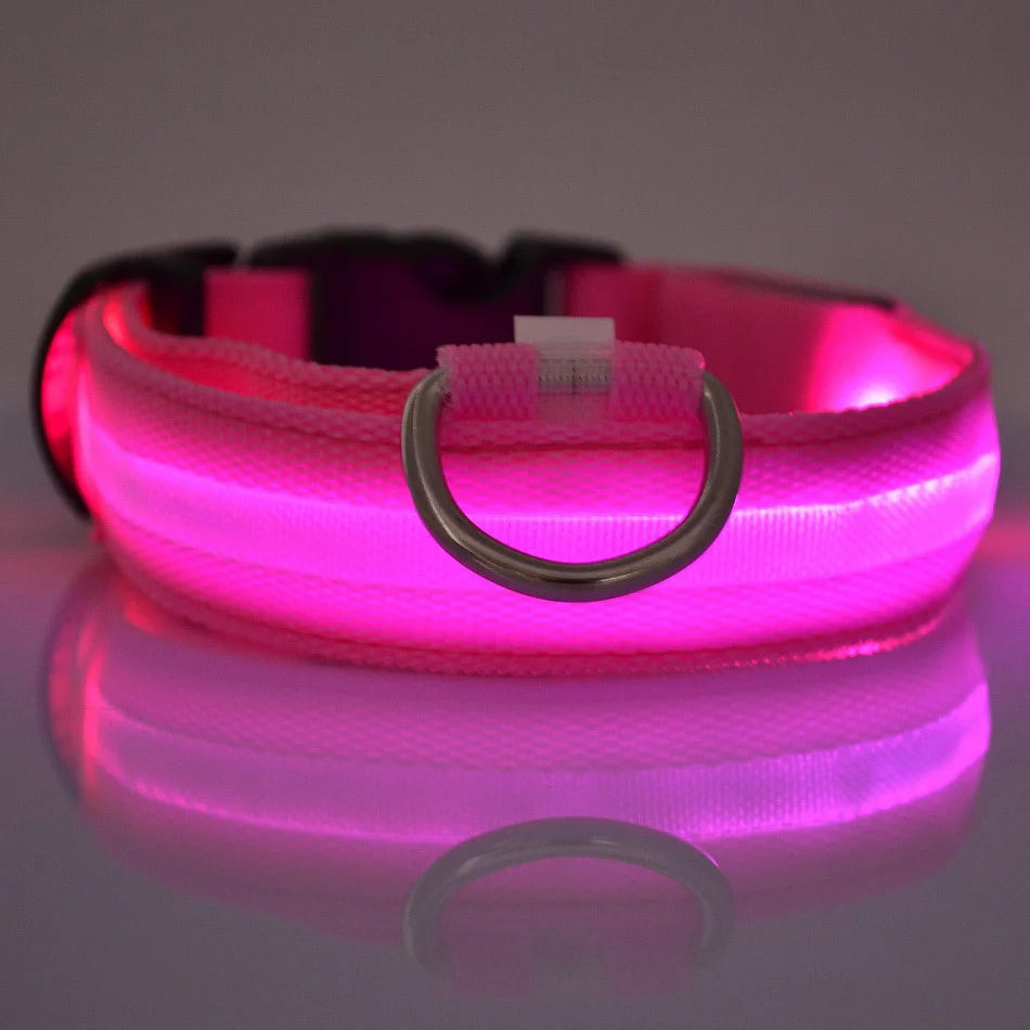 LED Night Safety Glow Dog Leash Collar