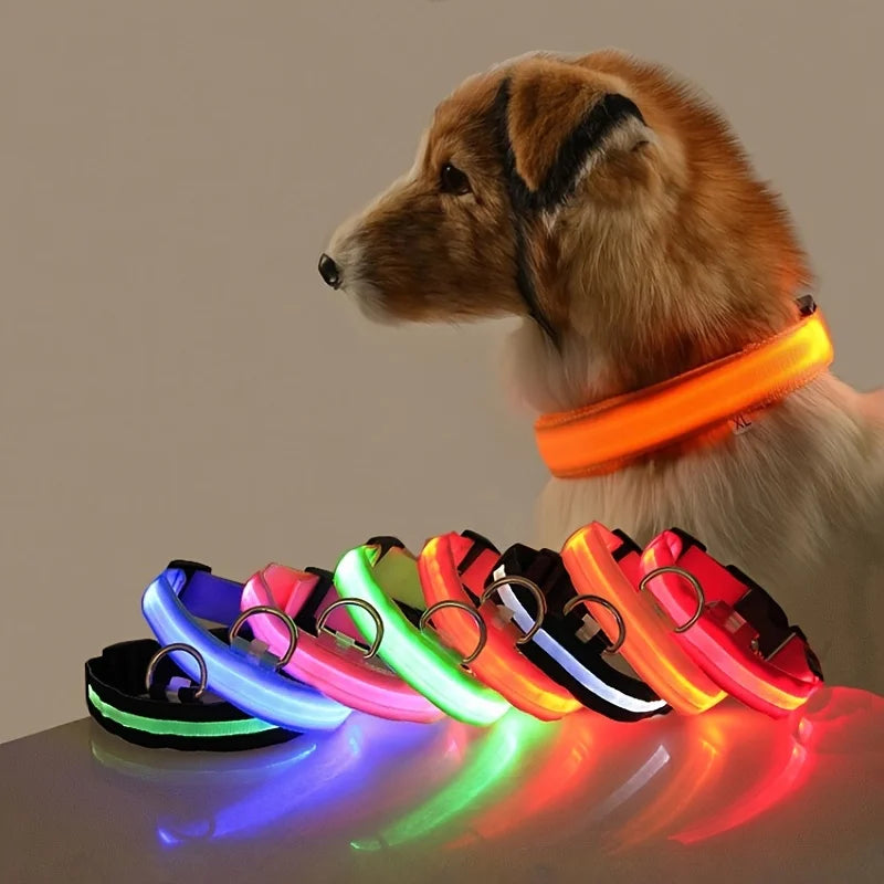 LED Night Safety Glow Dog Leash Collar