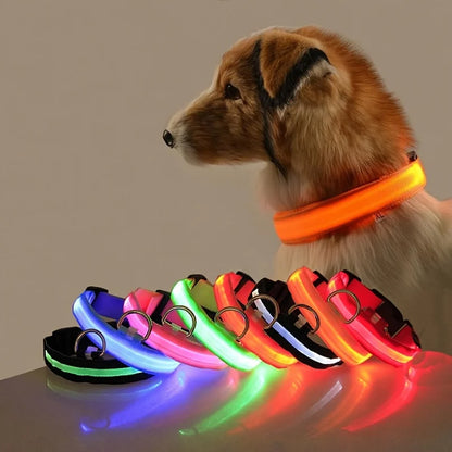 LED Night Safety Glow Dog Leash Collar