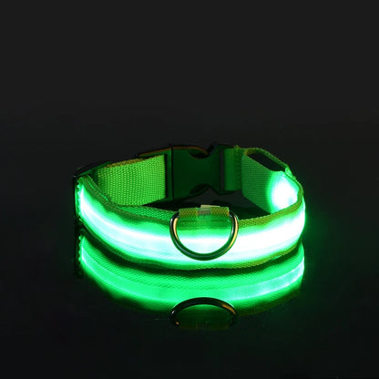 LED Night Safety Glow Dog Leash Collar