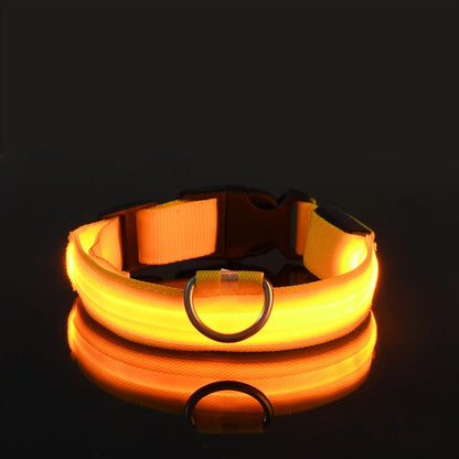 LED Night Safety Glow Dog Leash Collar